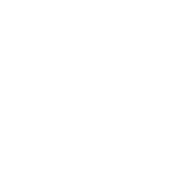 Boston Cartago