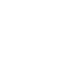 Boston Coyol